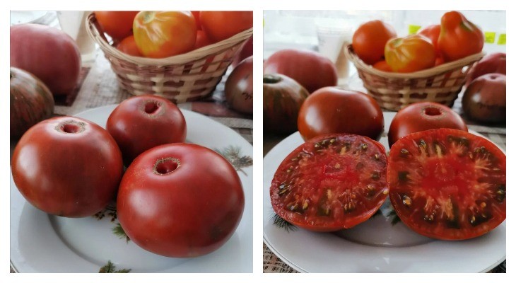 Плоды томата Леди Браун в целом виде и в разрезе