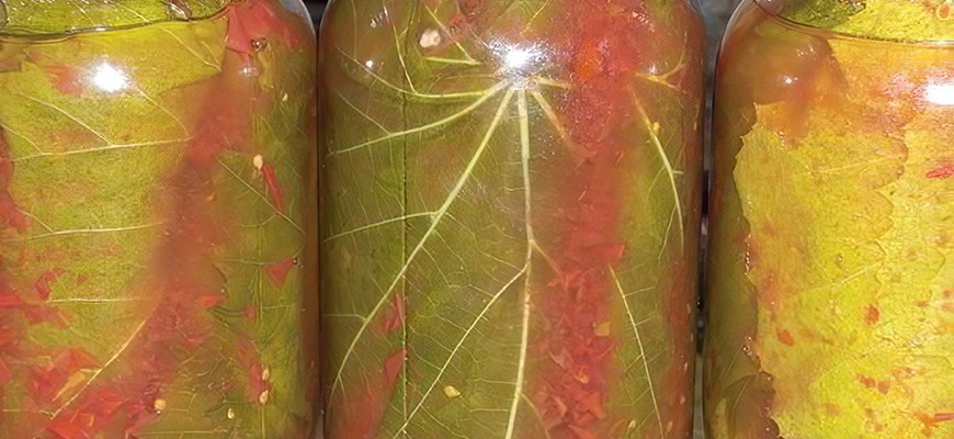 Консервированные виноградные листья в томате